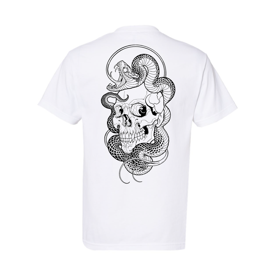 Snake Skull